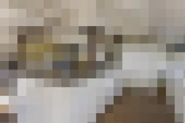 Groeneweg 11 Hummelo thumbnail 19
