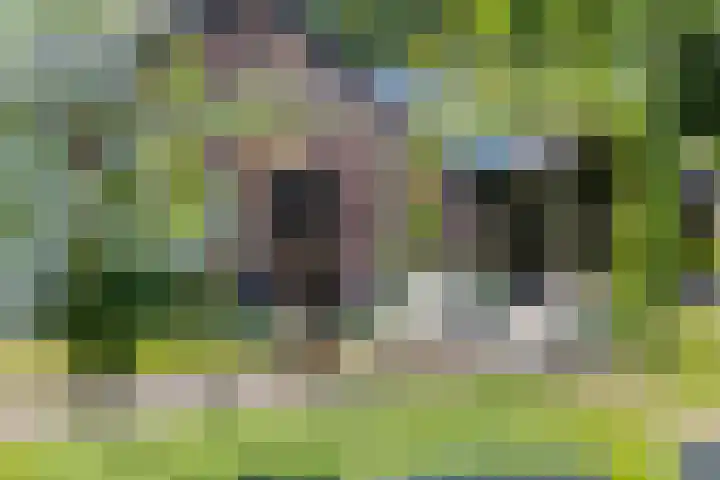 Groeneweg 11 Hummelo thumbnail 43