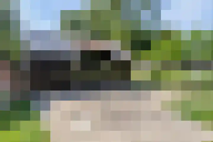 Groeneweg 11 Hummelo thumbnail 45