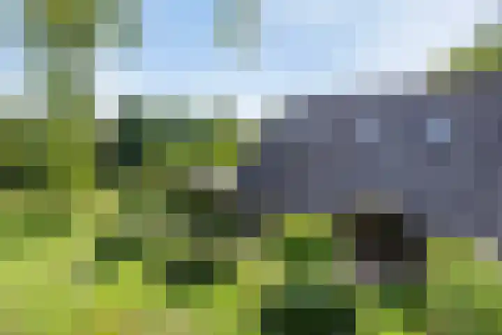 Groeneweg 11 Hummelo thumbnail 5