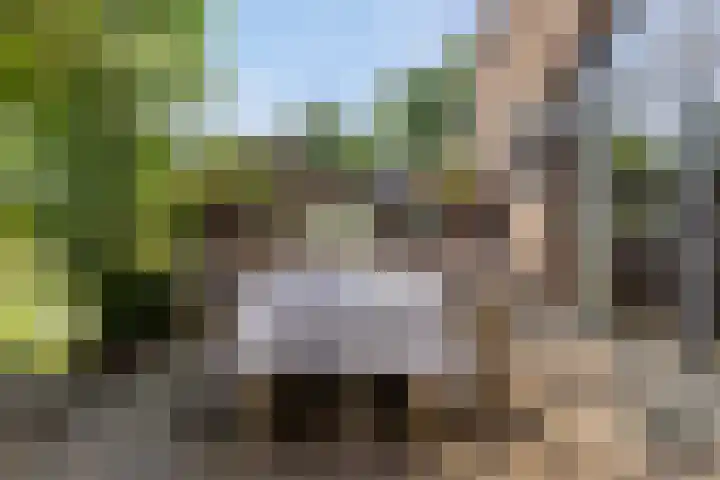 Groeneweg 11 Hummelo thumbnail 53