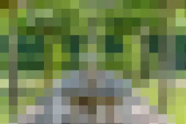 Groeneweg 11 Hummelo thumbnail 57