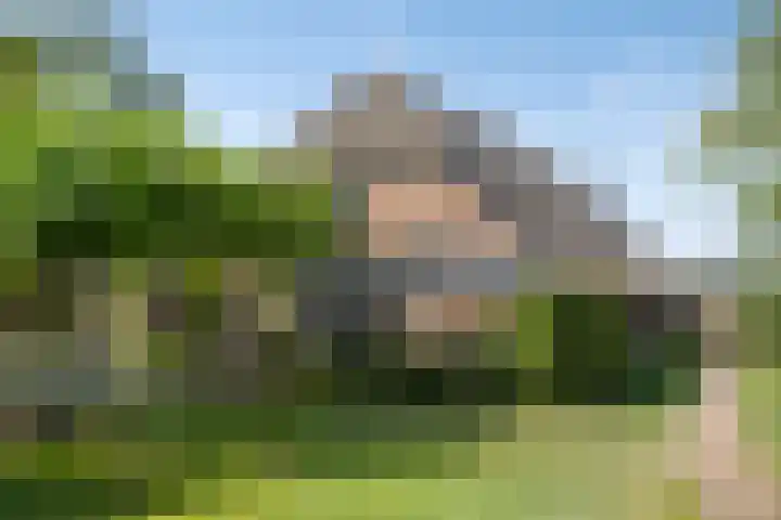 Groeneweg 11 Hummelo thumbnail 6