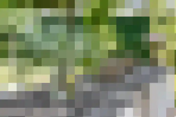 Groeneweg 11 Hummelo thumbnail 60