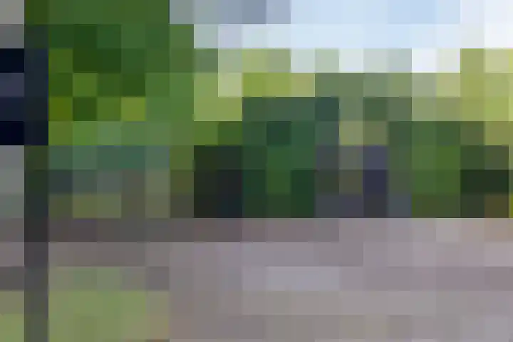 Groeneweg 11 Hummelo thumbnail 61