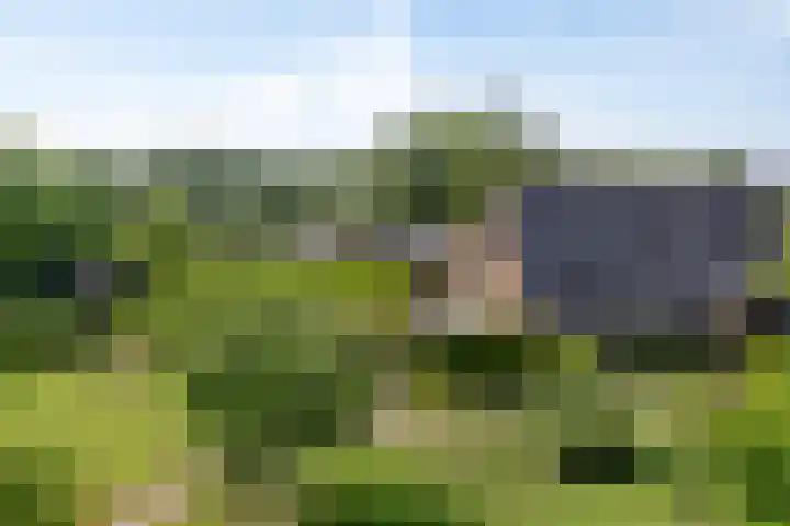 Groeneweg 11 Hummelo thumbnail 62
