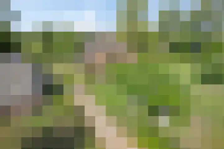 Groeneweg 11 Hummelo thumbnail 63