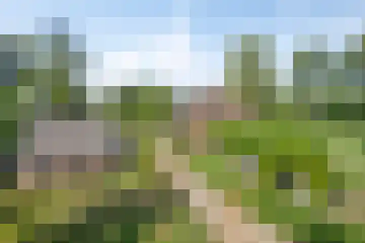 Groeneweg 11 Hummelo thumbnail 64