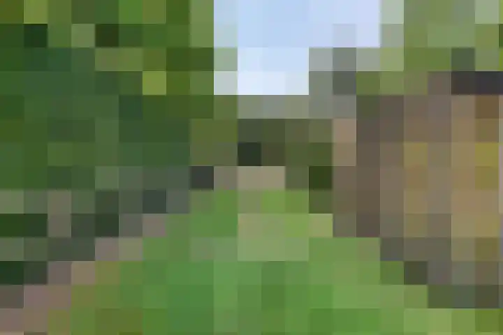 Groeneweg 11 Hummelo thumbnail 65