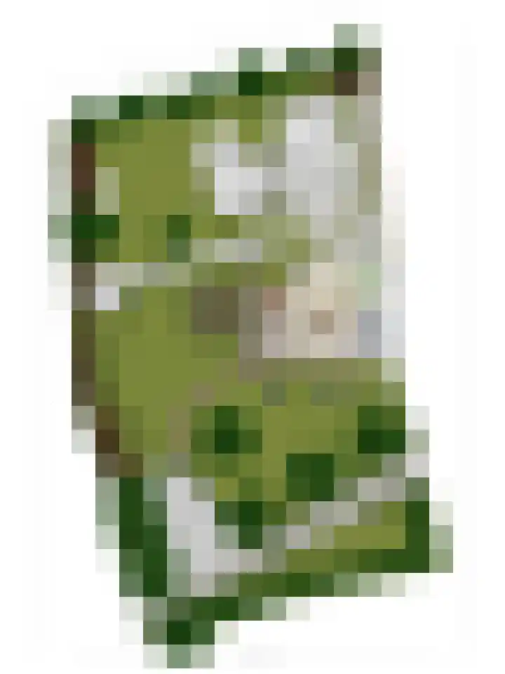 Groeneweg 11 Hummelo thumbnail 75