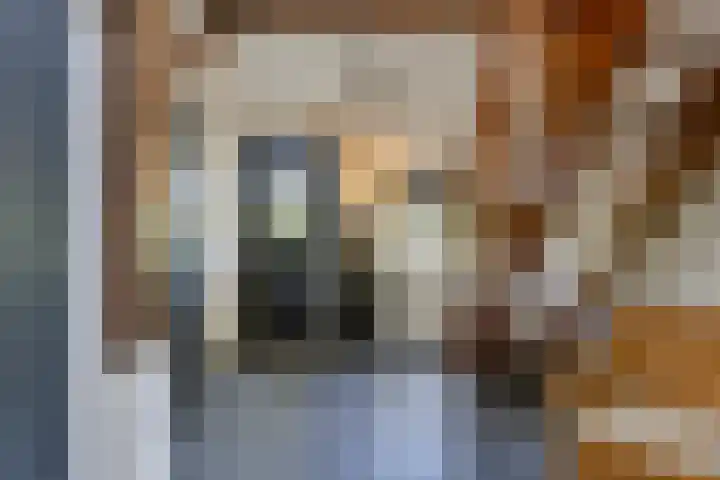 Groeneweg 11 Hummelo thumbnail 8