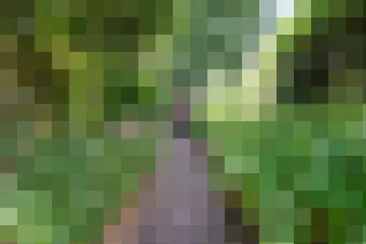 Groeneweg 122 Zwolle thumbnail 20