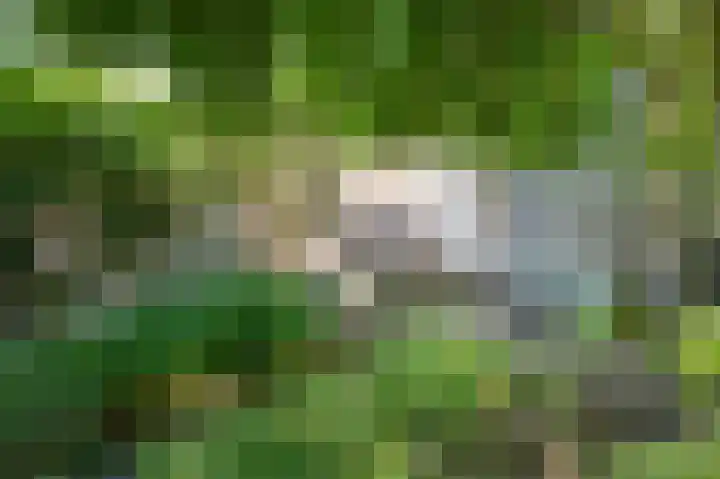 Groeneweg 122 Zwolle thumbnail 21
