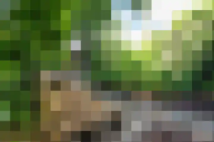 Groeneweg 122 Zwolle thumbnail 22