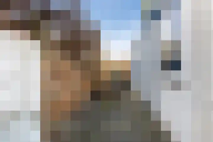 Groeneweg 13 Zwolle thumbnail 13