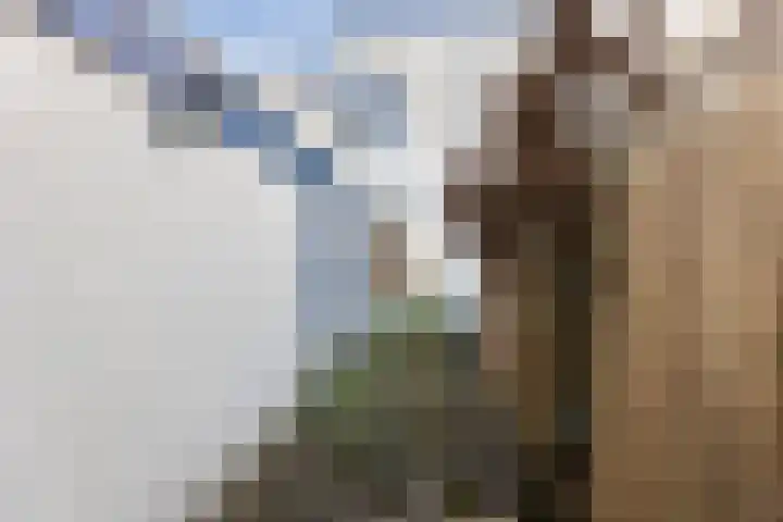 Groeneweg 13 Zwolle thumbnail 14