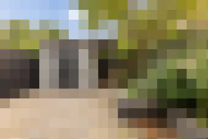 Groeneweg 131 Zwolle thumbnail 33