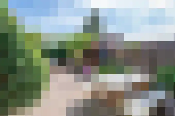 Groeneweg 139 Zwolle thumbnail 18