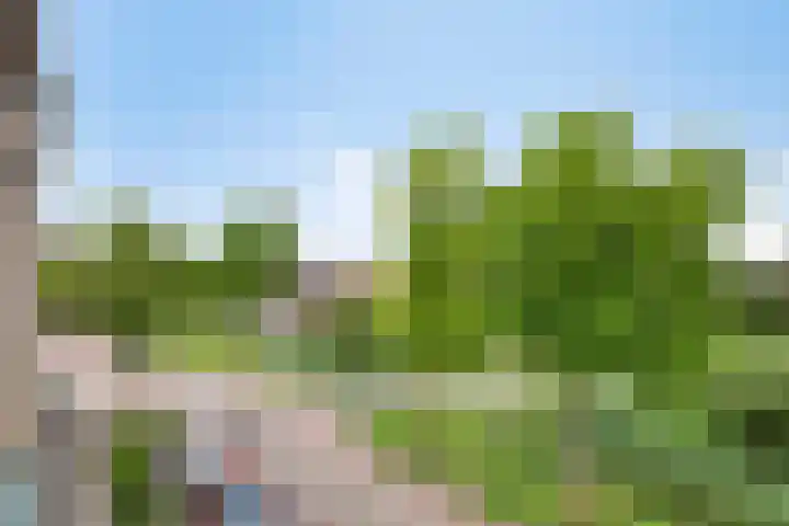 Groeneweg 158 Bergschenhoek thumbnail 15