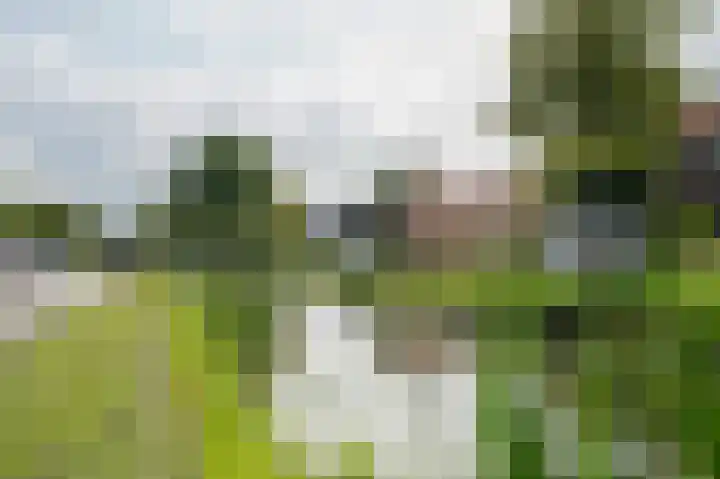 Groeneweg 17 Hoornaar thumbnail 4
