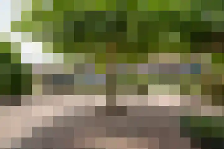 Groeneweg 17 Hoornaar thumbnail 7