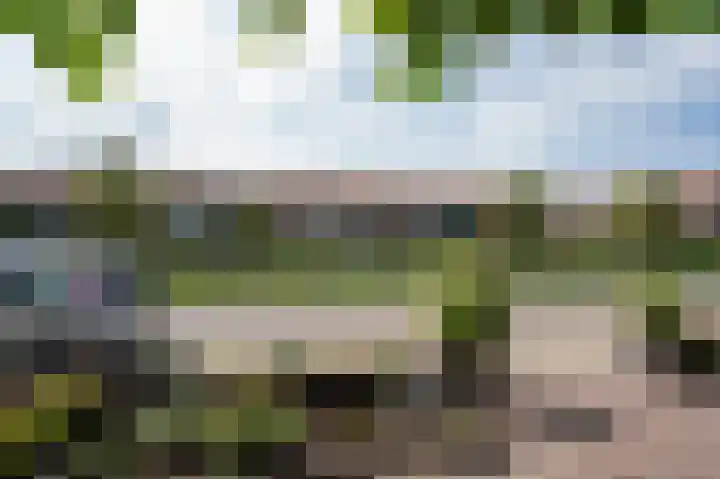 Groeneweg 17 Hoornaar thumbnail 8