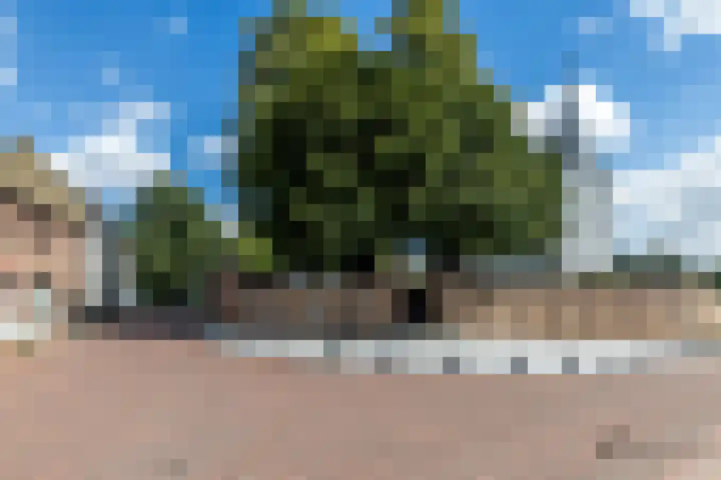 Groeneweg 17 Merkelbeek thumbnail 18