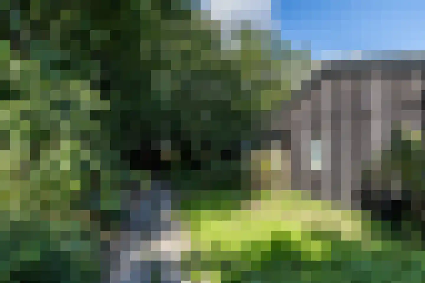 Groeneweg 17 Merkelbeek thumbnail 9