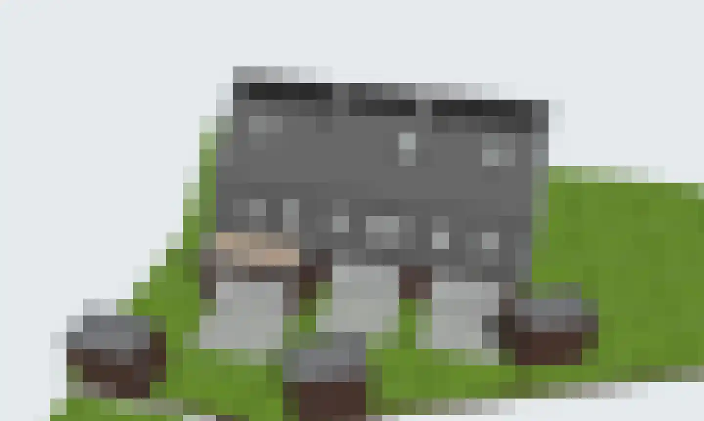 Groeneweg 2 A Renkum thumbnail 7