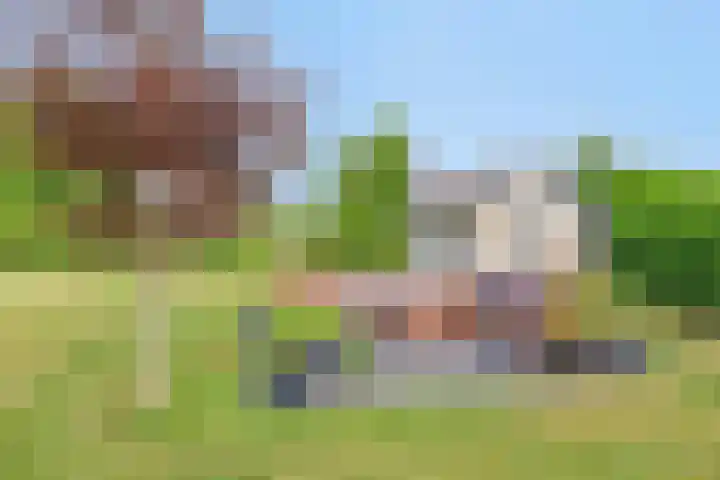 Groeneweg 2 b Heerde thumbnail 45