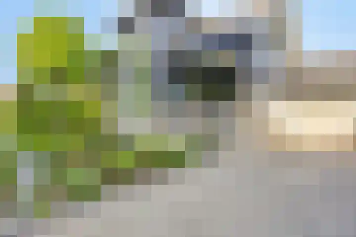 Groeneweg 2 b Heerde thumbnail 5