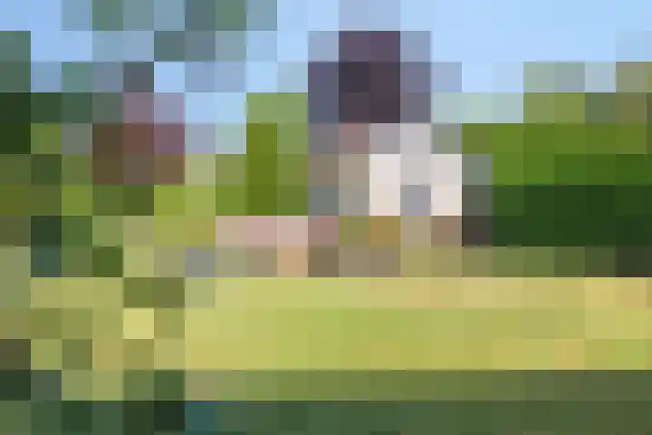Groeneweg 2 b Heerde thumbnail 54
