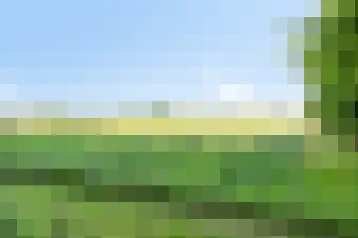 Groeneweg 2 b Heerde thumbnail 62