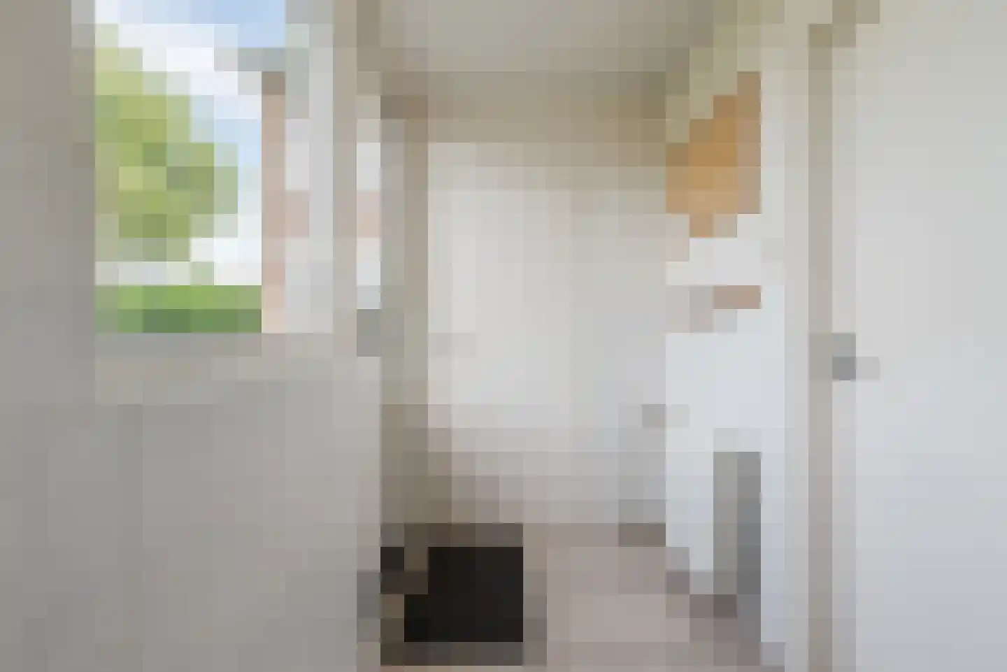 Groeneweg 22 Reusel thumbnail 17