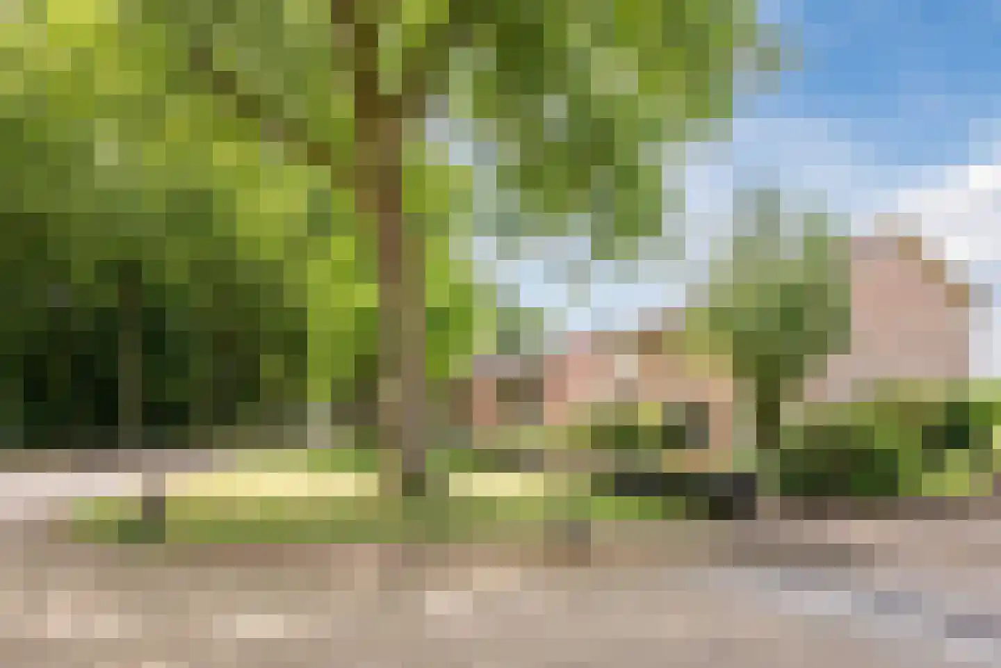 Groeneweg 22 Reusel thumbnail 36