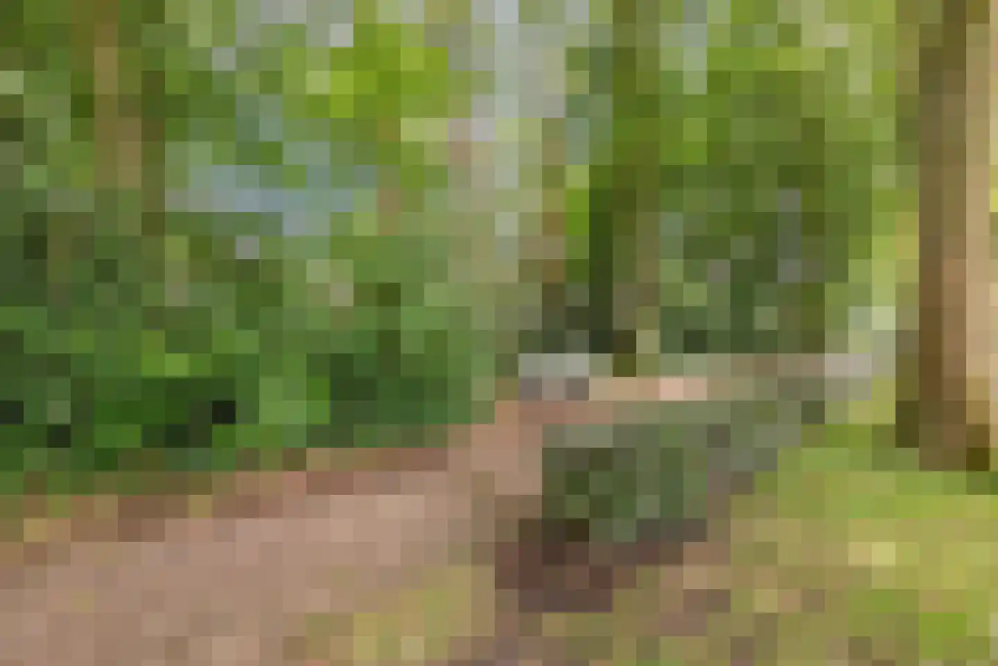 Groeneweg 22 Reusel thumbnail 39