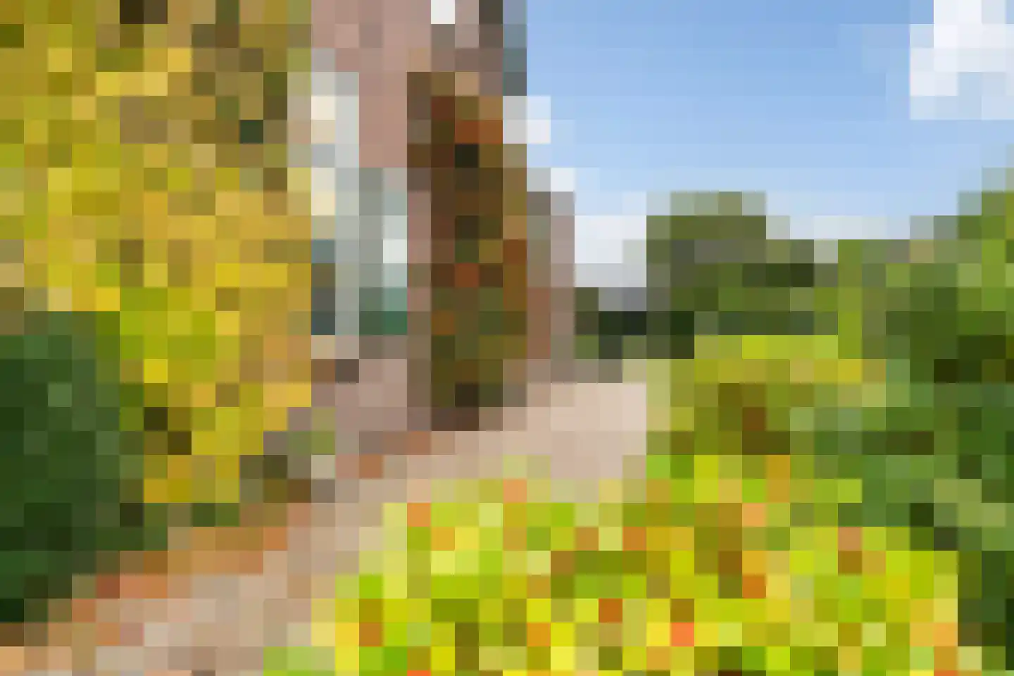 Groeneweg 23 Ermelo thumbnail 12
