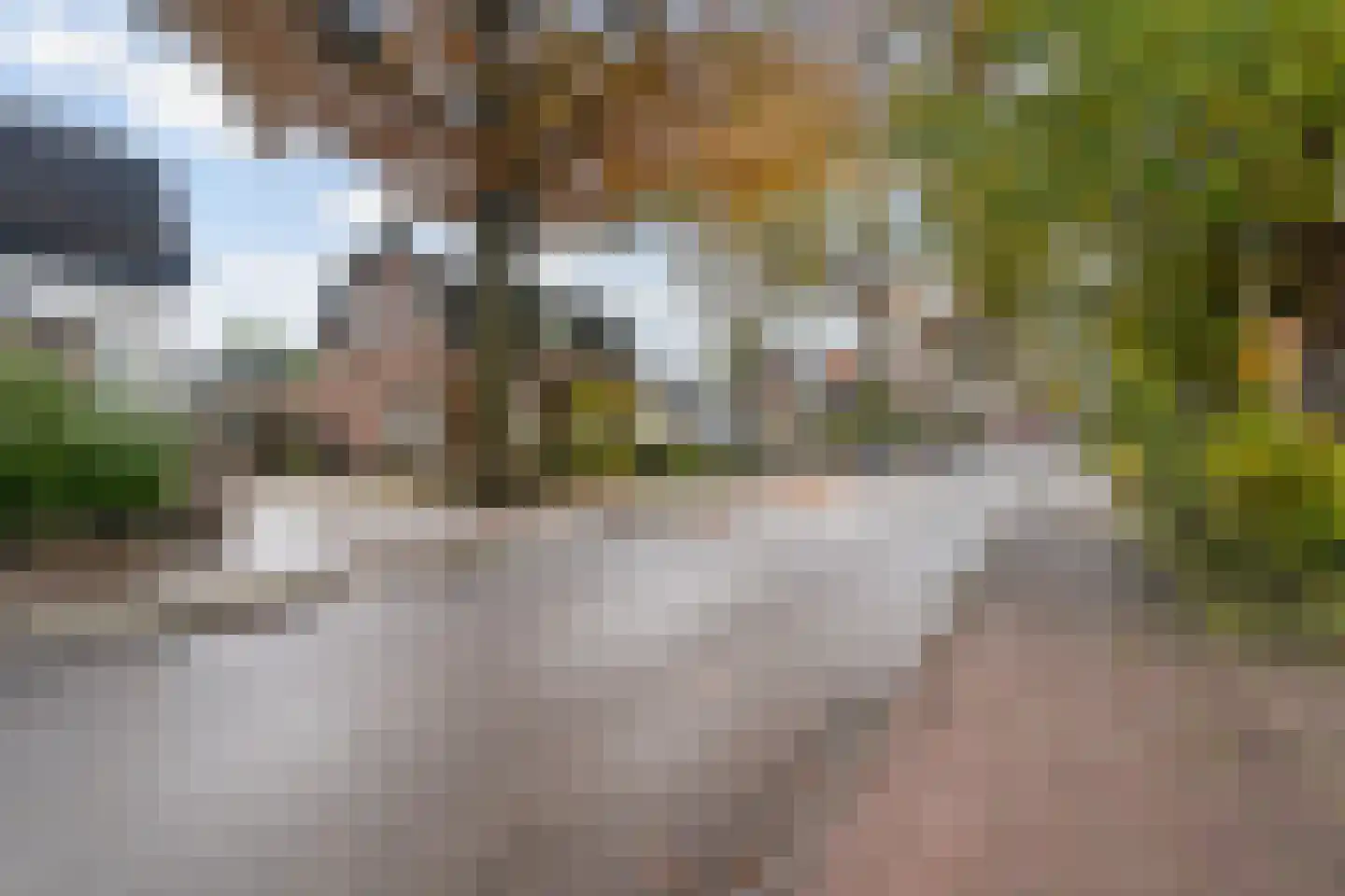 Groeneweg 23 Ermelo thumbnail 51