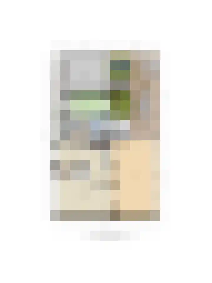 Groeneweg 24 Numansdorp thumbnail 49