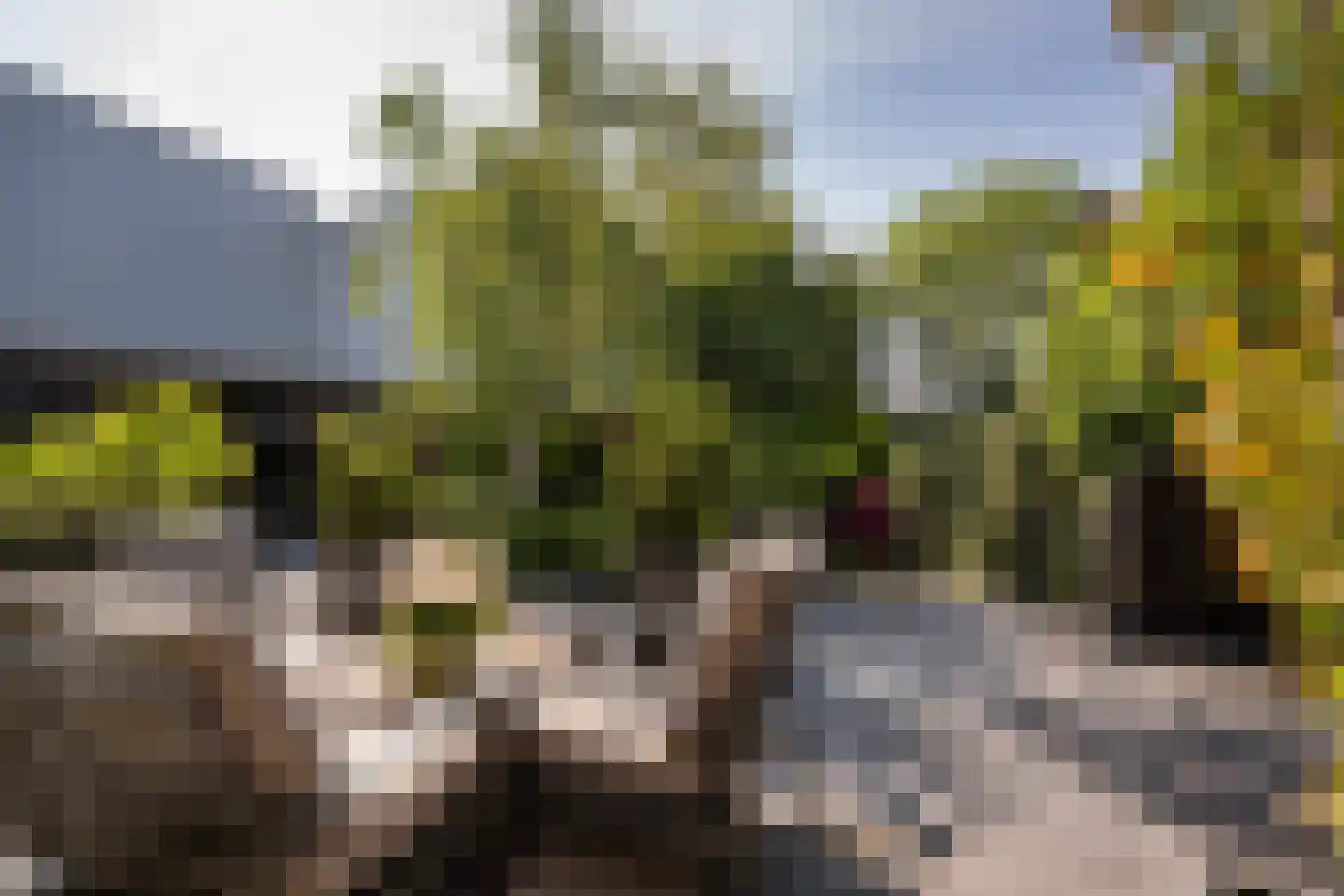 Groeneweg 26 's-Gravenzande thumbnail 20