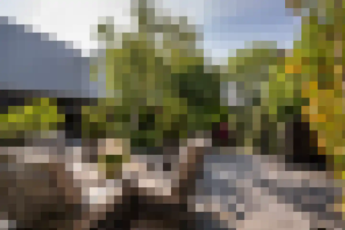 Groeneweg 26 's-Gravenzande thumbnail 22