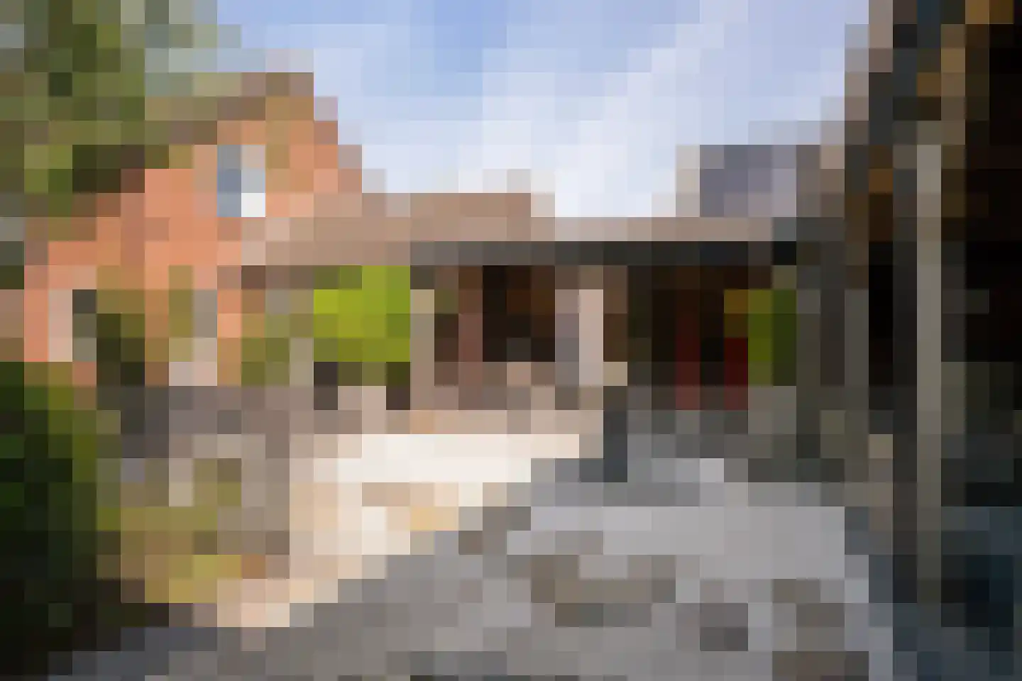 Groeneweg 26 's-Gravenzande thumbnail 25