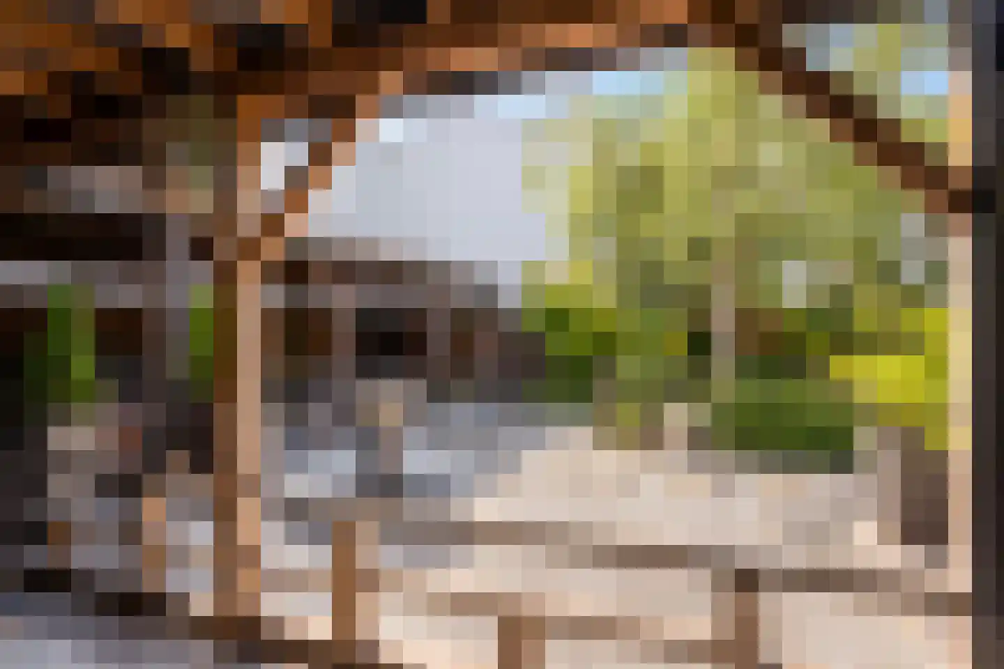 Groeneweg 26 's-Gravenzande thumbnail 27