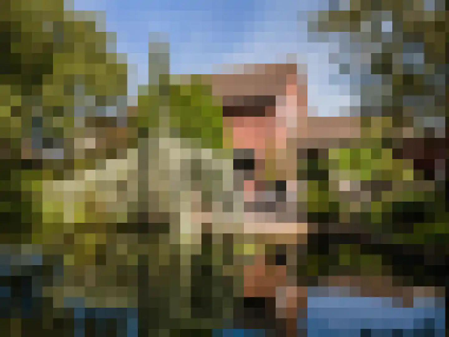 Groeneweg 26 's-Gravenzande thumbnail 31