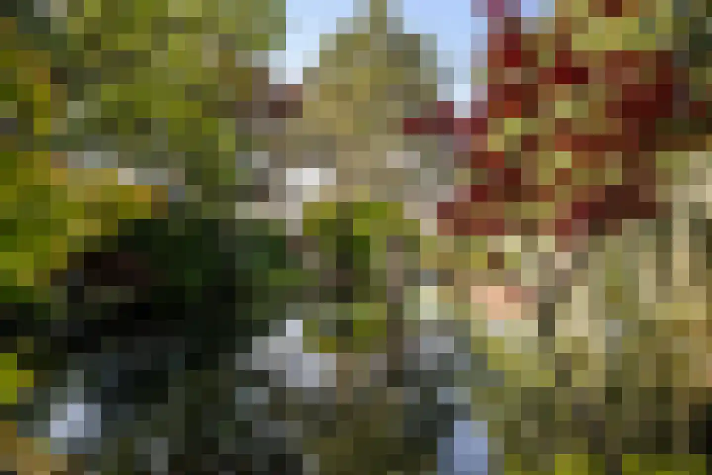 Groeneweg 26 's-Gravenzande thumbnail 32
