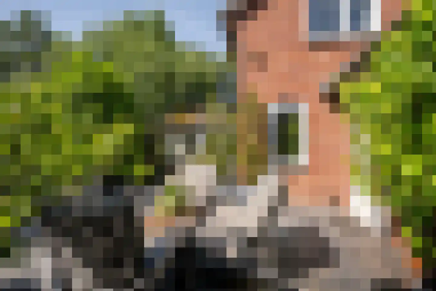 Groeneweg 26 's-Gravenzande thumbnail 36