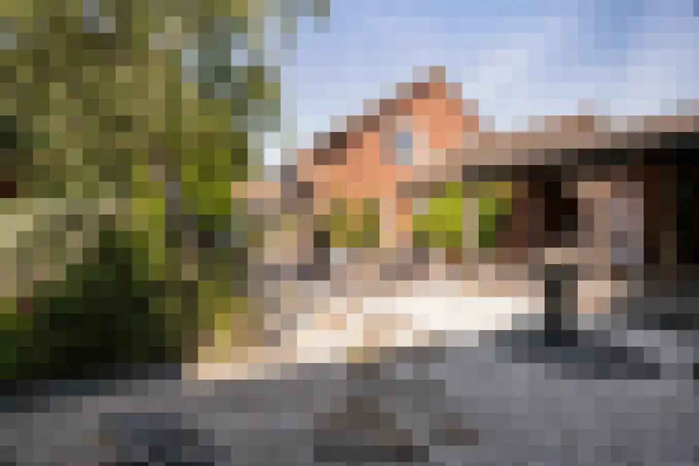 Groeneweg 26 's-Gravenzande thumbnail 4