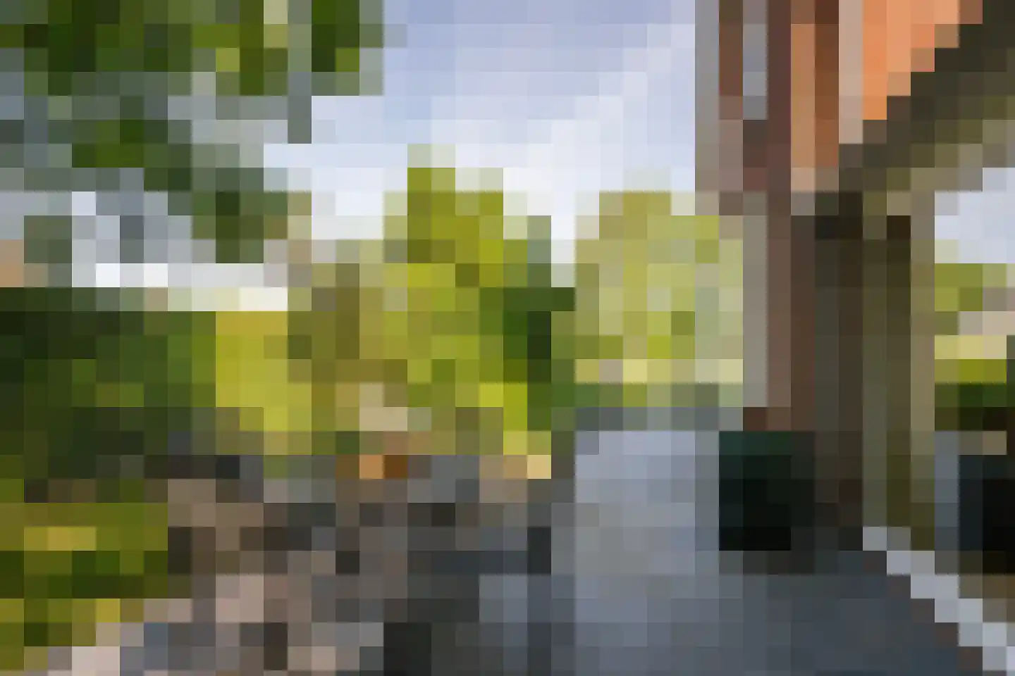 Groeneweg 26 's-Gravenzande thumbnail 47