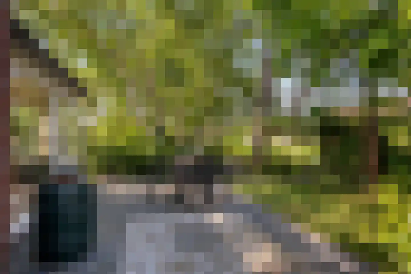 Groeneweg 26 's-Gravenzande thumbnail 48