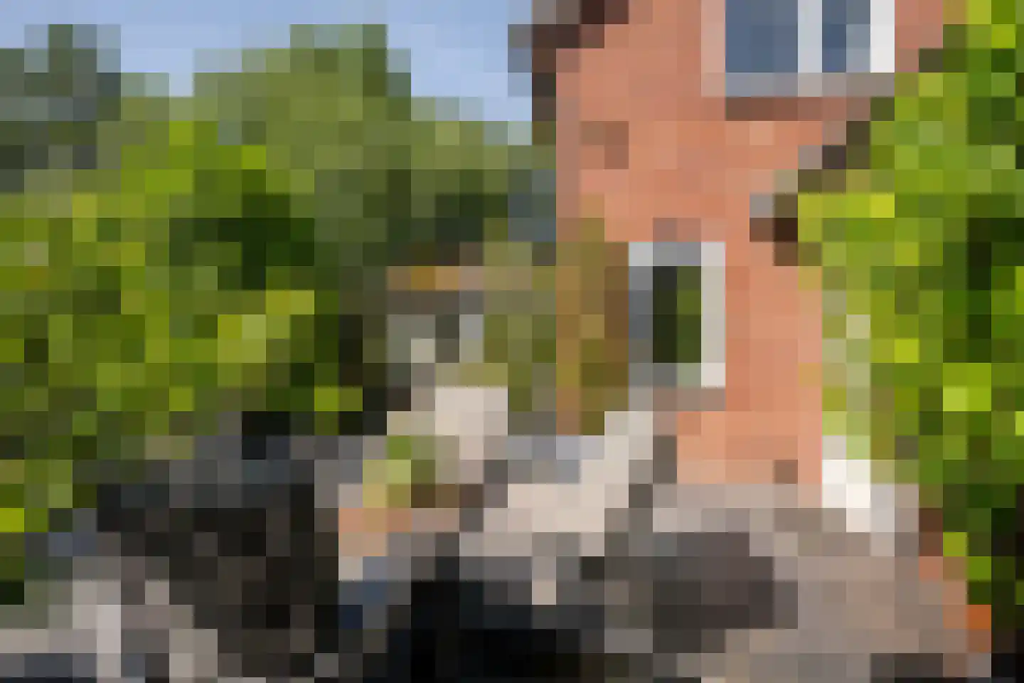 Groeneweg 26 's-Gravenzande thumbnail 61